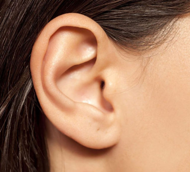 Right Ear pic..jpg