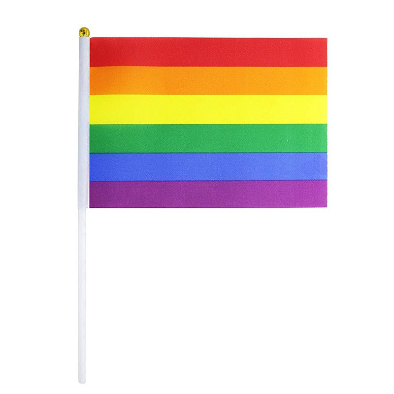 LGBTQ Rainbow Pride Flag (Small)