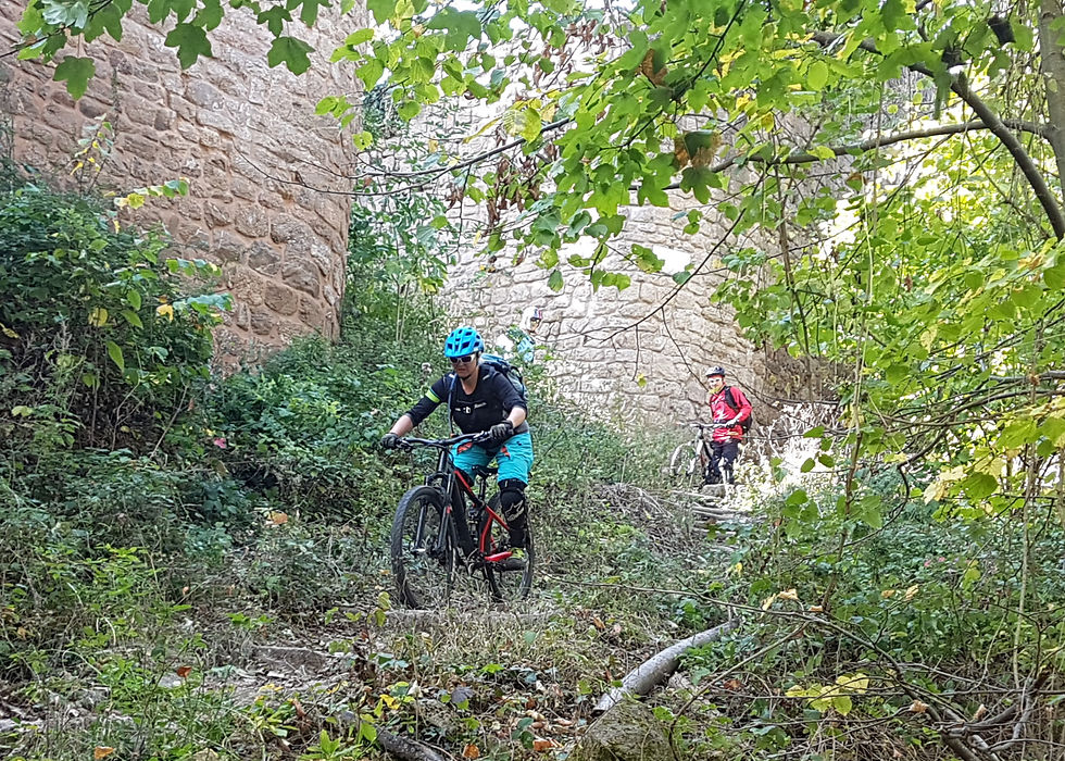 Ladies only - Sicher und entspannt mit dem MTB II