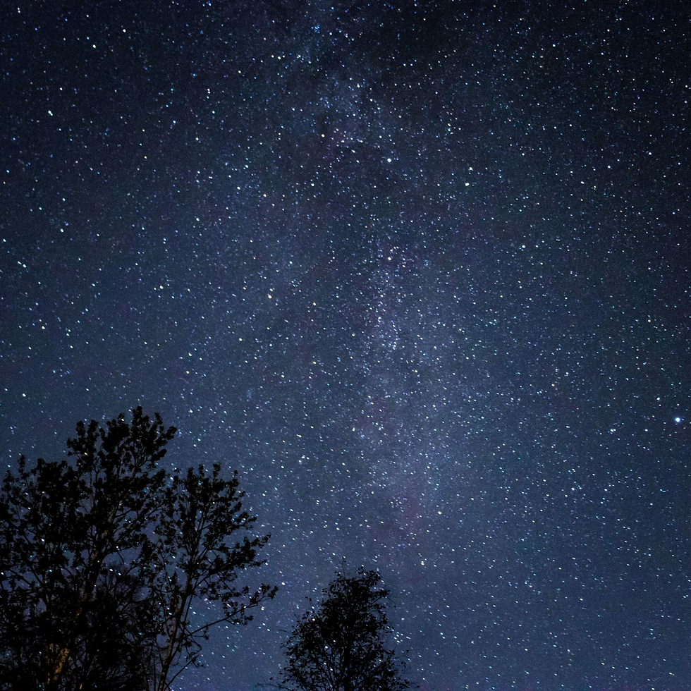 stargazing.png