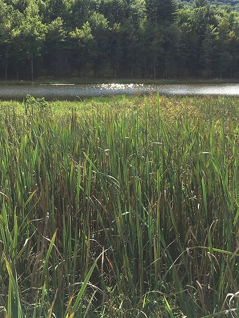 41727106_10217479323121118_8848257195314