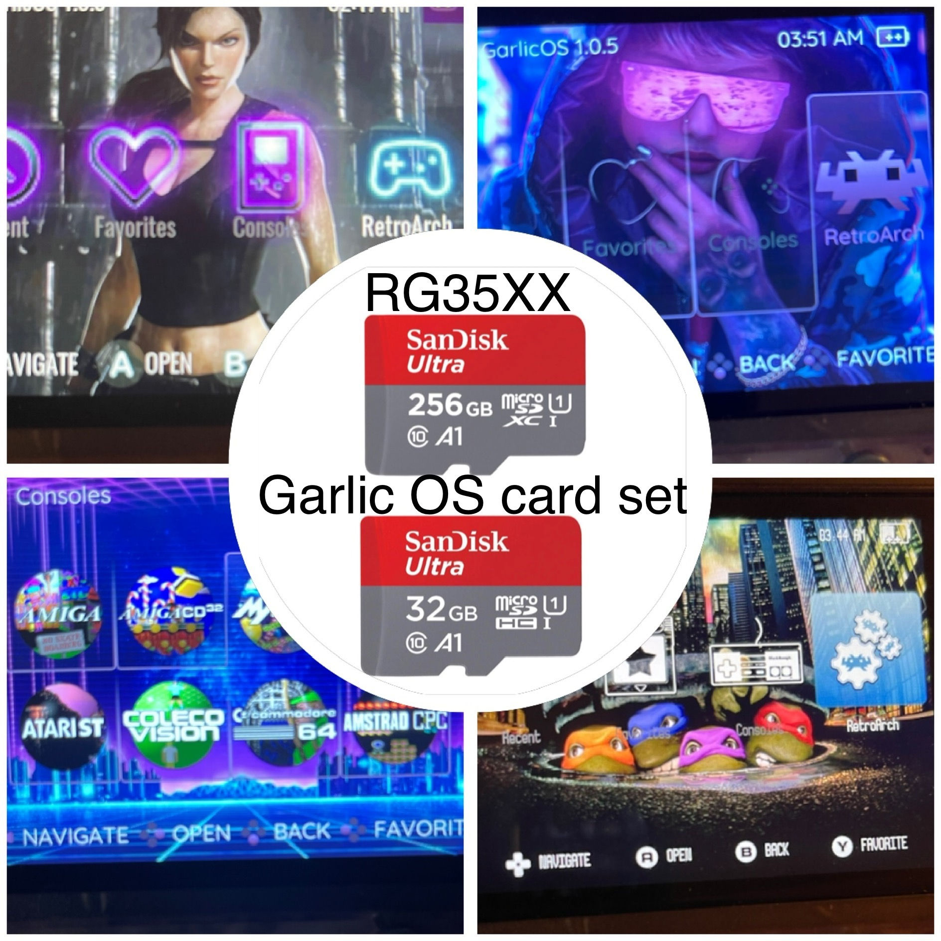 256 GB "RG35XX” + 32 GB GarlicOS micro SD Card set - Custom Skins, ~17,500 games