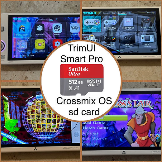 TRIMUI SMART PRO カードのみ Amazon.com: Trimui Smart Pro Handheld Game Console 4.96-Inches