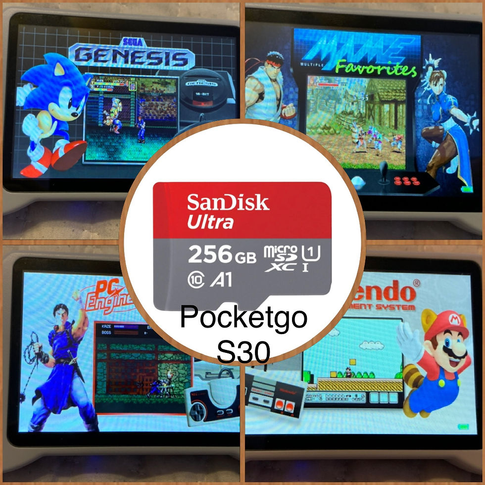 For PocketGoS30 256 GB micro SD Card (loaded), 13,340+ Games