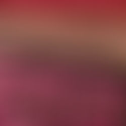 Art Healing Workshops: Transformative Wellness Experiences