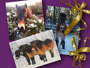 Christmas Card available 2026 - Website.jpg