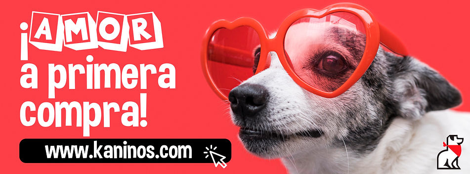PORTADA FACEBOOK.jpg
