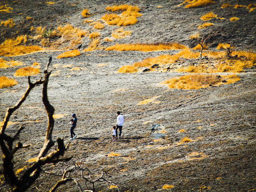 different signs of life..