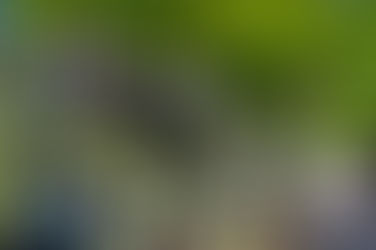 La eterna ametralladora de 12,70 mm