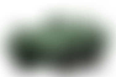 Programas tecnológicos asociados al vehículo de combate sobre ruedas 8x8