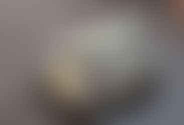 Mini Vehículo Terrestre no Tripulado Nerva LG