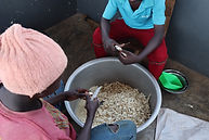 IMG_1677.jpg