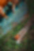 IMG_1165.jpeg