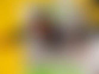 Das ging daneben: Füchse unterliegen zum Auftakt mit 27:28!