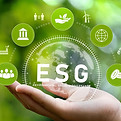 esg.jpg