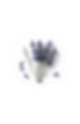 lavanda.png
