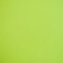 VERDE FUN