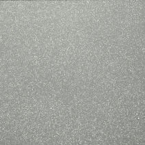 STEEL