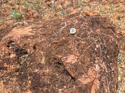 Redbank_NovDec19_3353