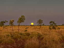 2022-08-12 17.51.13-AR