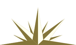 logo-nn.png