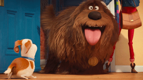 Resultado de imagen para la vida secreta de las mascotas