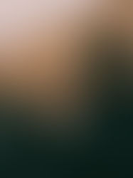 The Beauty of Letting Go