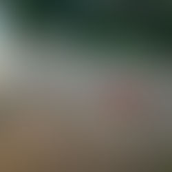 Picking Your Battles With A Determined Toddler