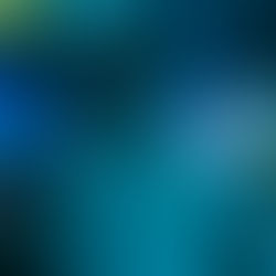 My Top Netflix Picks For February