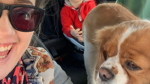 We've Reached An Eerie Calm...