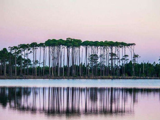 WaterColor and Grayton Beach: Private Chef Service in Your Rental