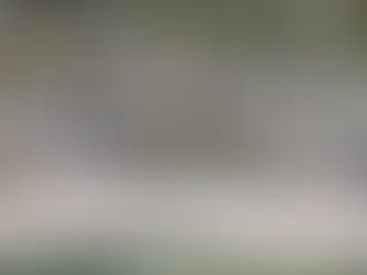 Seaside Private Chef Experiences: Dining in Your Beach Cottage