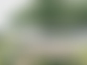 The Best 30A Rental Homes and Venues for Wedding Celebrations