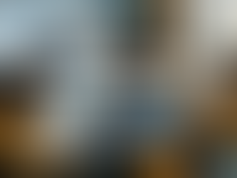 The Learning Experience at Apeksha vs Online MOOCs