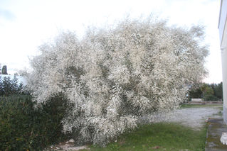 Gennaio 2022: i colori dell'inverno.