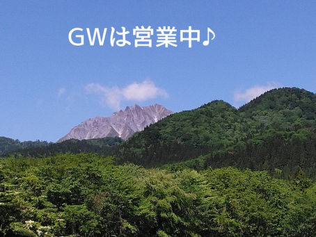 🌳GWは営業しております🌳
