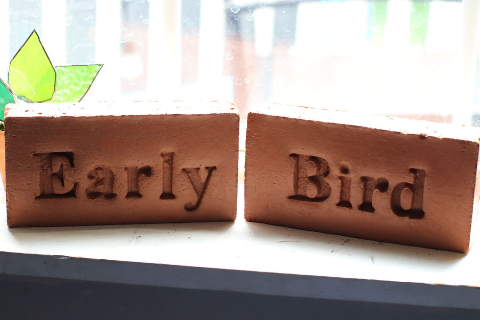 Thumbnail: Early Bird