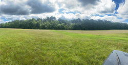 Screen Shot 2022-07-03 at 11.42.32 PM