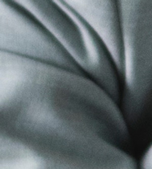 pierre-chatel-innocenti-Lk-nu_hX6ms-unsplash 2.png