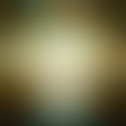 Herzchakra & emotionale Offenheit – Wenn Neurokardiologie und Veden denselben Herzraum beschreiben