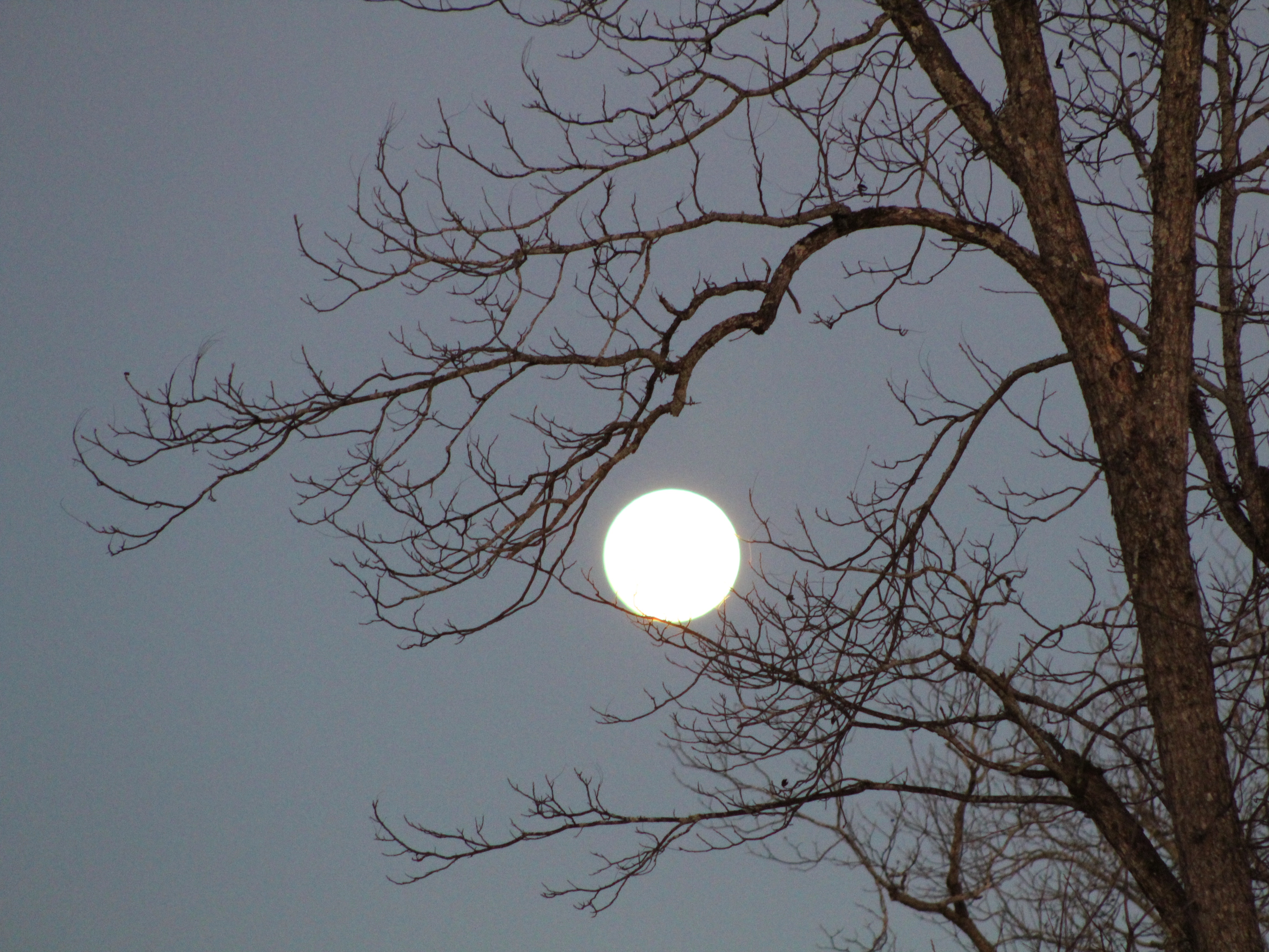 Restful Nights