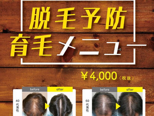 【成功率82%以上!】5人中4人の薄毛の改善が出来る育毛メニュー