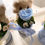 Thumbnail: Rosbox i sammet med evighetsros och nalle