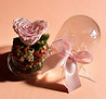 freepik__isolate-product-on-soft-peach-background-standing-__85420.jpeg