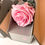 Miniatyrbild: V-Rose. Evighetsros med stjälk.