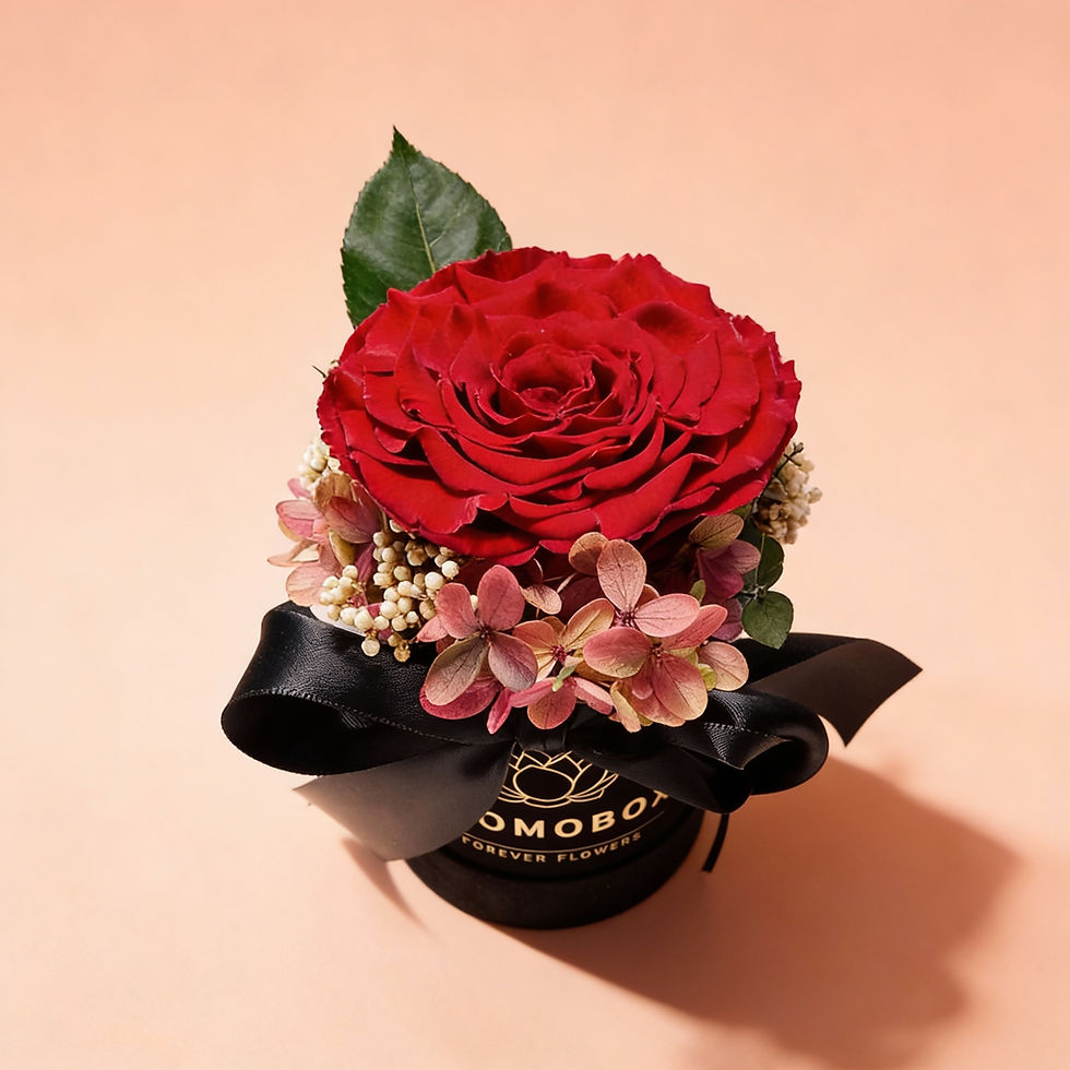 Miniatyrbild: Rosbox svart S