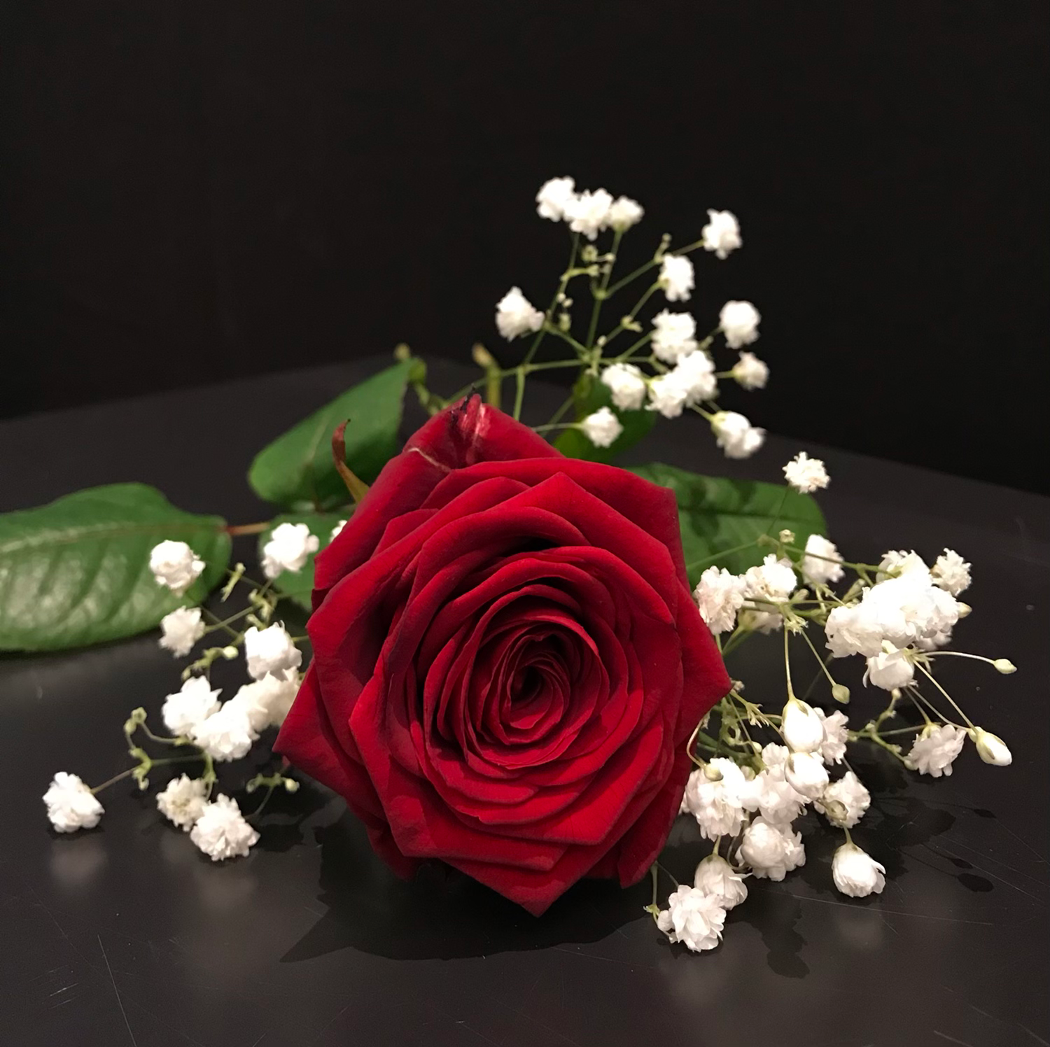 1 röd ros med brudslöja