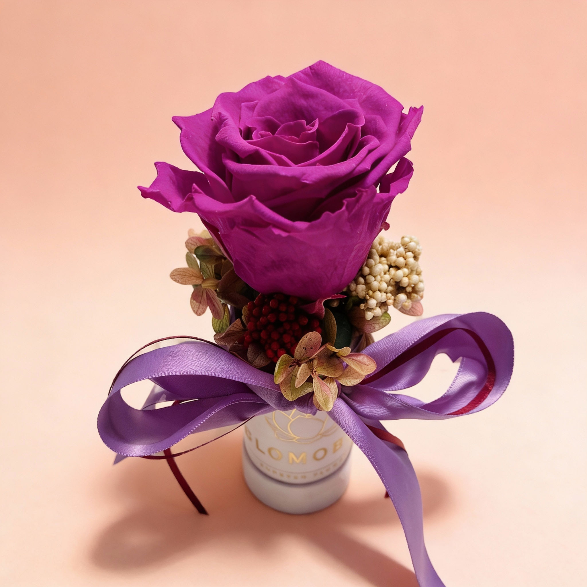 Rosbox XS Shiny Lilac