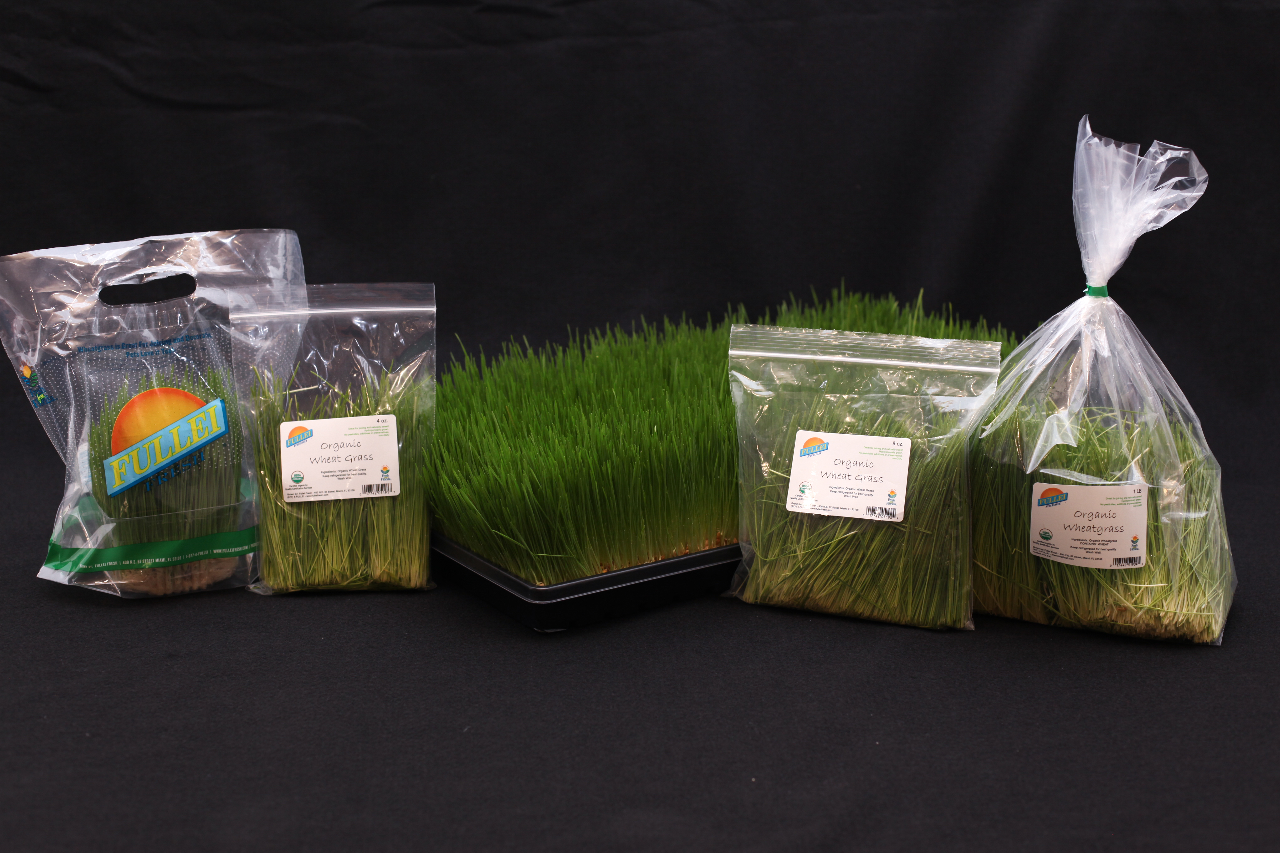 Organic Wheatgrass