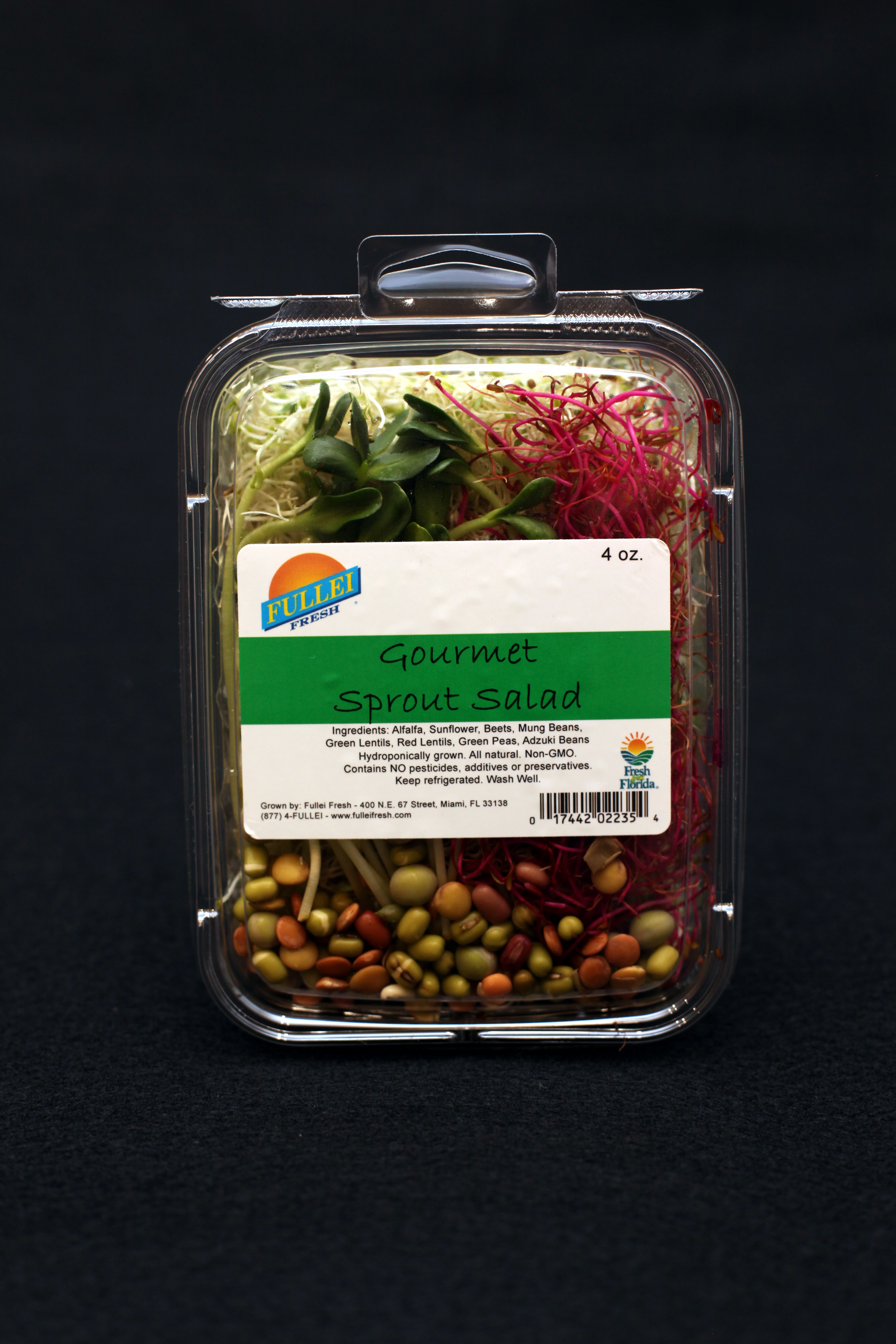 Gourmet Sprout Salad